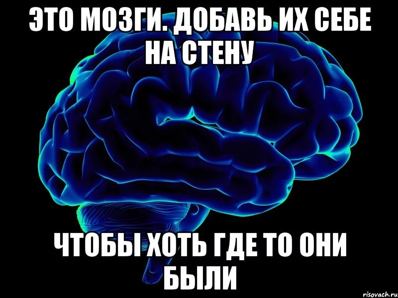 Чтобы их было