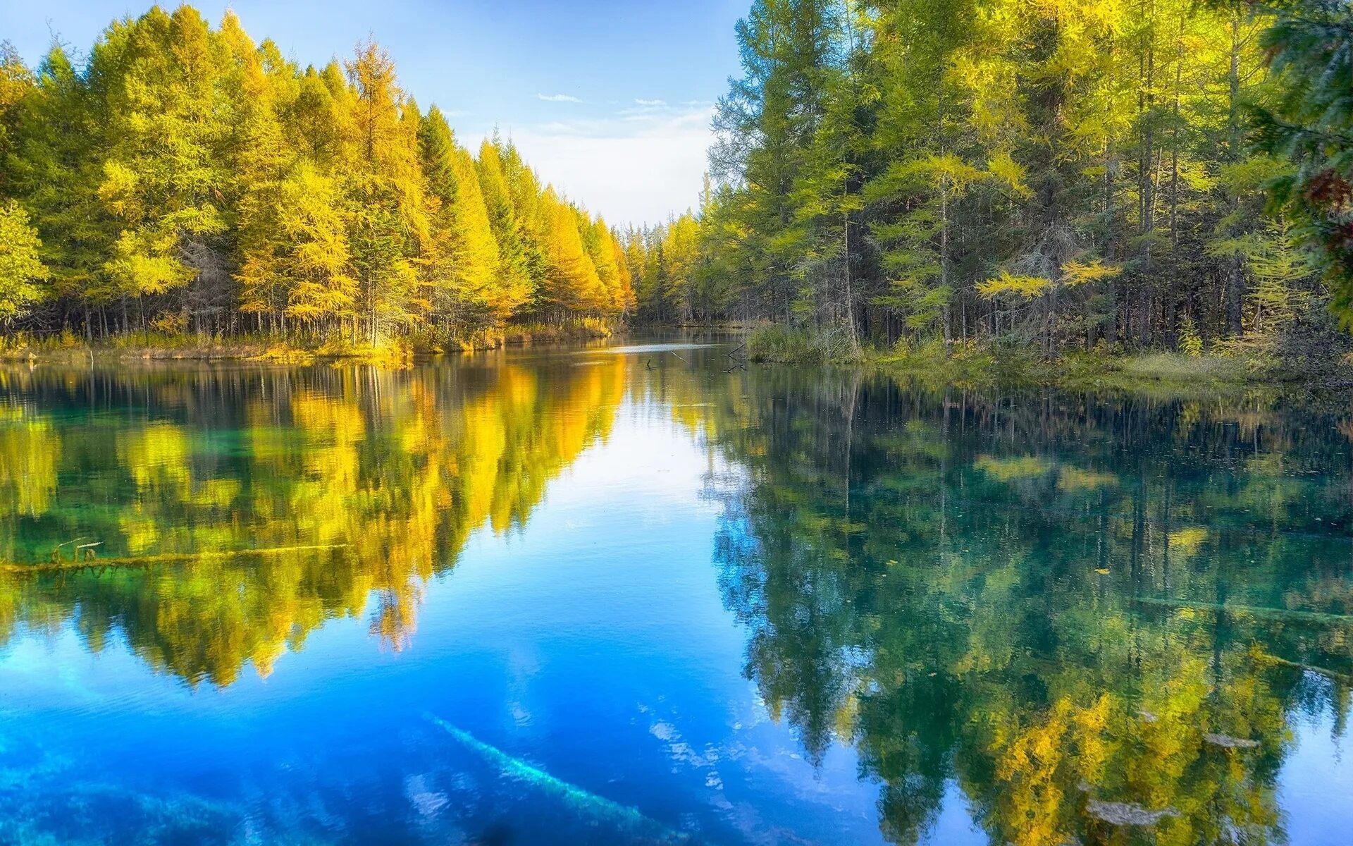 Осень озеро. Озеро осенью. Золотая осень. Лесное озеро осень. Озеро осенью.