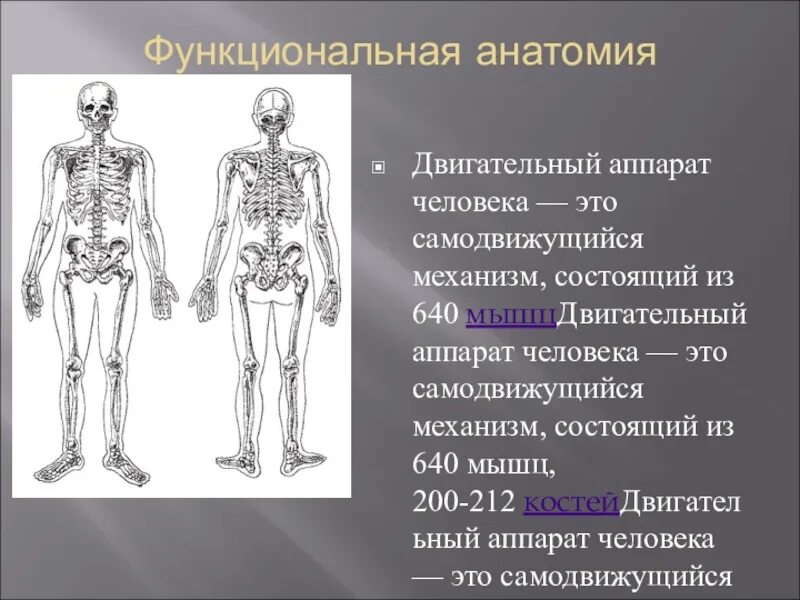 Опорно двигательный аппарат. Двигательный аппарат человека. Опорно-двигательный аппарат состоит из. Анатомия и физиология опорно-двигательного аппарата. Строение двигательного аппарата.