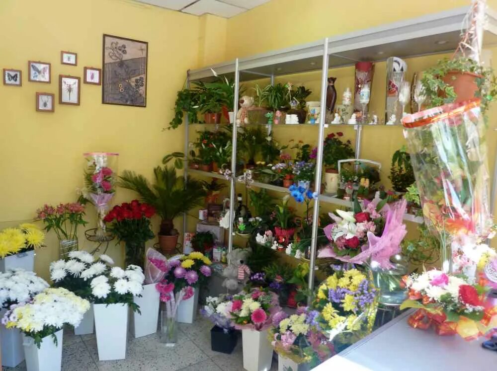цветочный павильон. сувениры в цветочном магазине. игрушки в цветочном магазине. магазины цветов и игрушек. цветторг тольятти на фрунзе 14в.