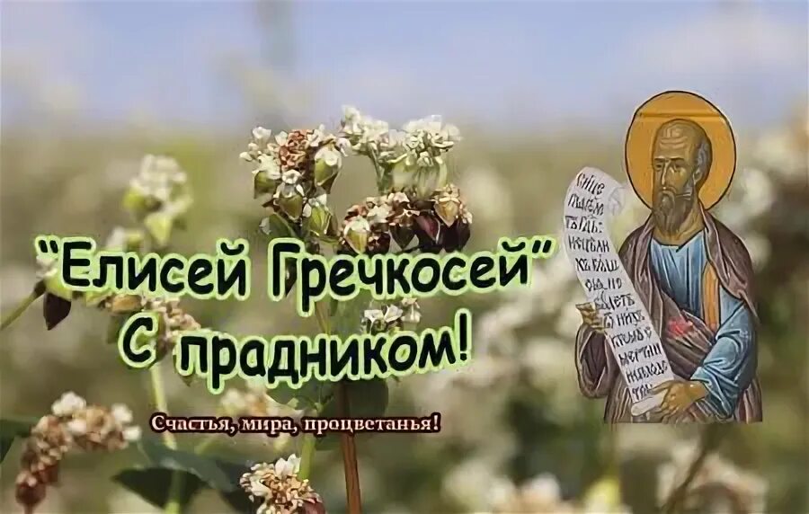 Прп. Сообщение о православном календаре. 27 июня народный календарь. 27 июня православный календарь. 27 июня православный календарь.