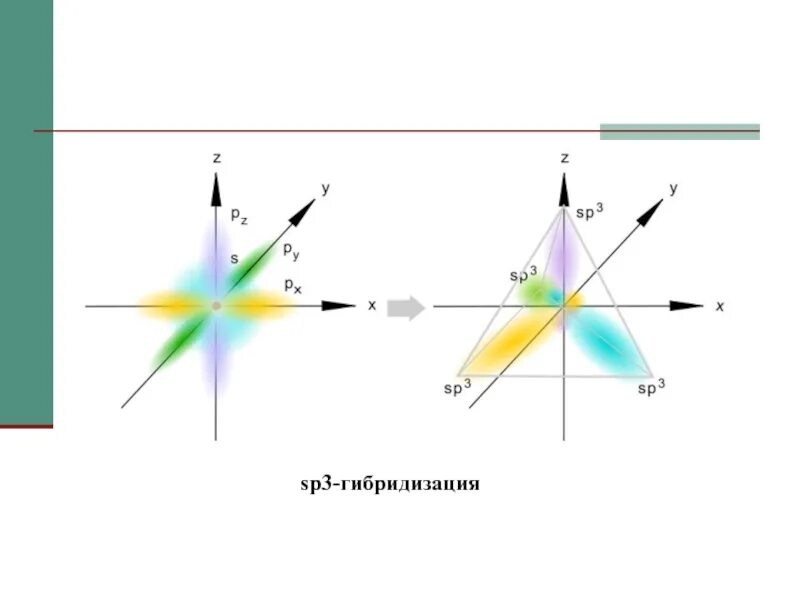 Гибридизация воды sp3. Sp3 гибридизация. Гибридизация картинки для презентации. SP гибридизация. Перспективы отдалённой гибридизации.