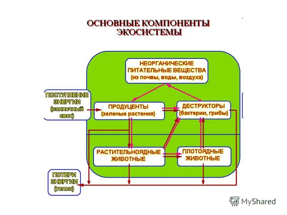 Какие факторы влияют на экосистему. 4 Необходимых компонента экосистемы. Экосистема состоит из 4 компонентов. Из каких 2 основных компонентов состоит экосистема смешанного леса?.