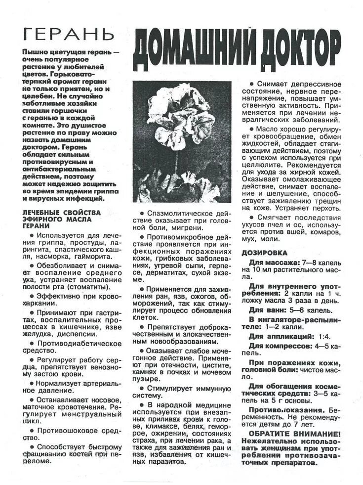 Герань в народной медицине. Герань комнатная лечебные свойства для ушей. Герань лечебная для ушей. Лекарство от кашля из герани. Настойка герани