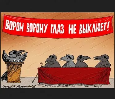 Ворон ворону глаз не выклюет
