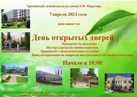 Сайт лесной техникум