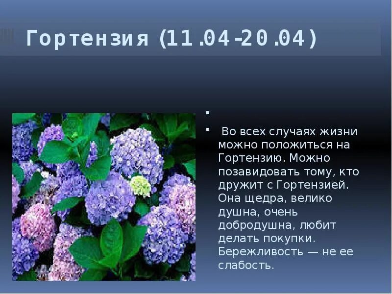 Дева цветок по гороскопу. Цветы по гороскопу. Цветочный гороскоп.