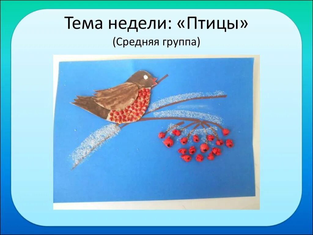 Неделя птицы средняя