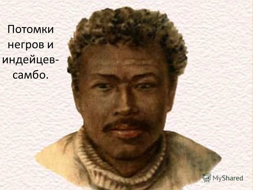 негроидная раса и негрская раса. метисы с негроидной расой. потомки негров. потомки от браков европейцев с неграми. потомок негров.