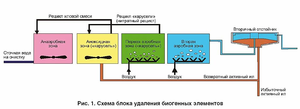 Биологический метод очистки сточных вод схема. Этапы биологической очистки сточных вод схема. Биологический этап очистки сточных вод. Схема работы очистных сооружений канализации. Аэробный метод