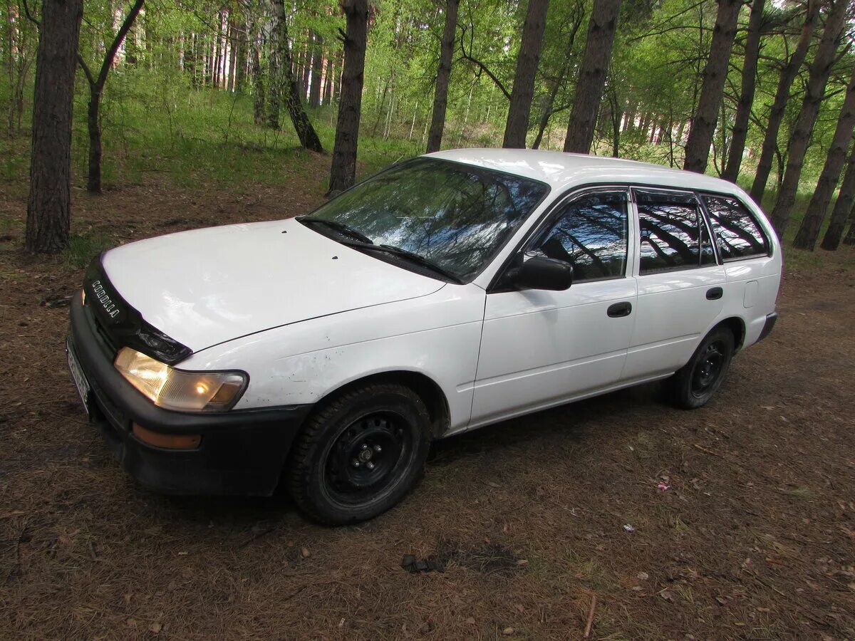 Toyota Corolla 2001 универсал. Toyota Королла 2001 универсал. Тойота Королла универсал 2001. Тойтоа королла2001 универсал. Тойота универсал 2001