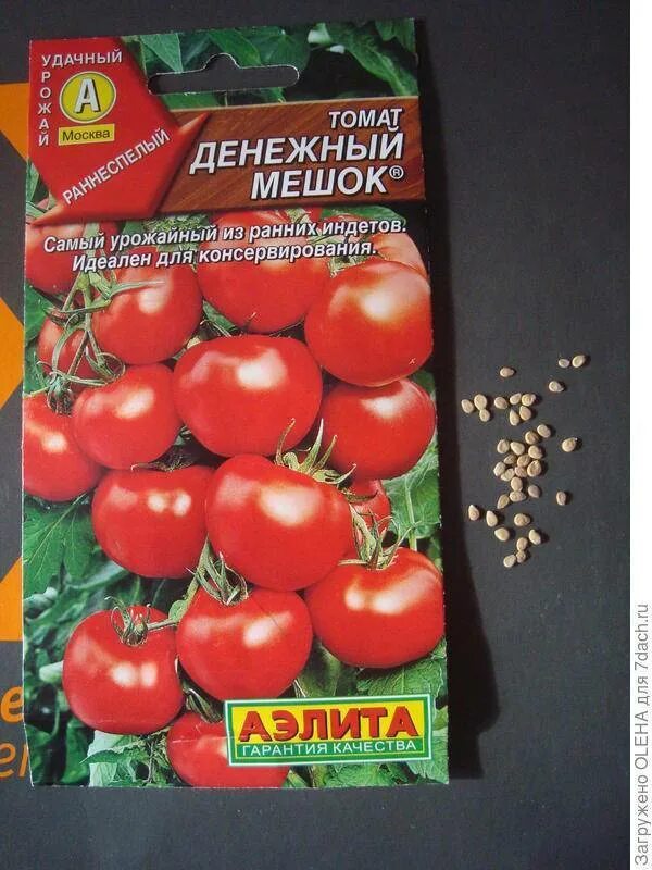 Томат денежный мешок характеристика и описание. Томат денежный мешок отзывы фото урожайность характеристика. Томат денежное дерево. Денежный мешок томат описание. Денежный мешок томат описание.