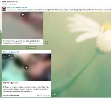 Запрещенка в телеграм