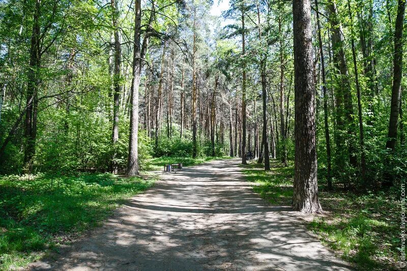 Парк семь ключей. 7 Ключей Екатеринбург район. Парк отдыха 7 ключей Екатеринбург. Район семь ключей Екатеринбург.