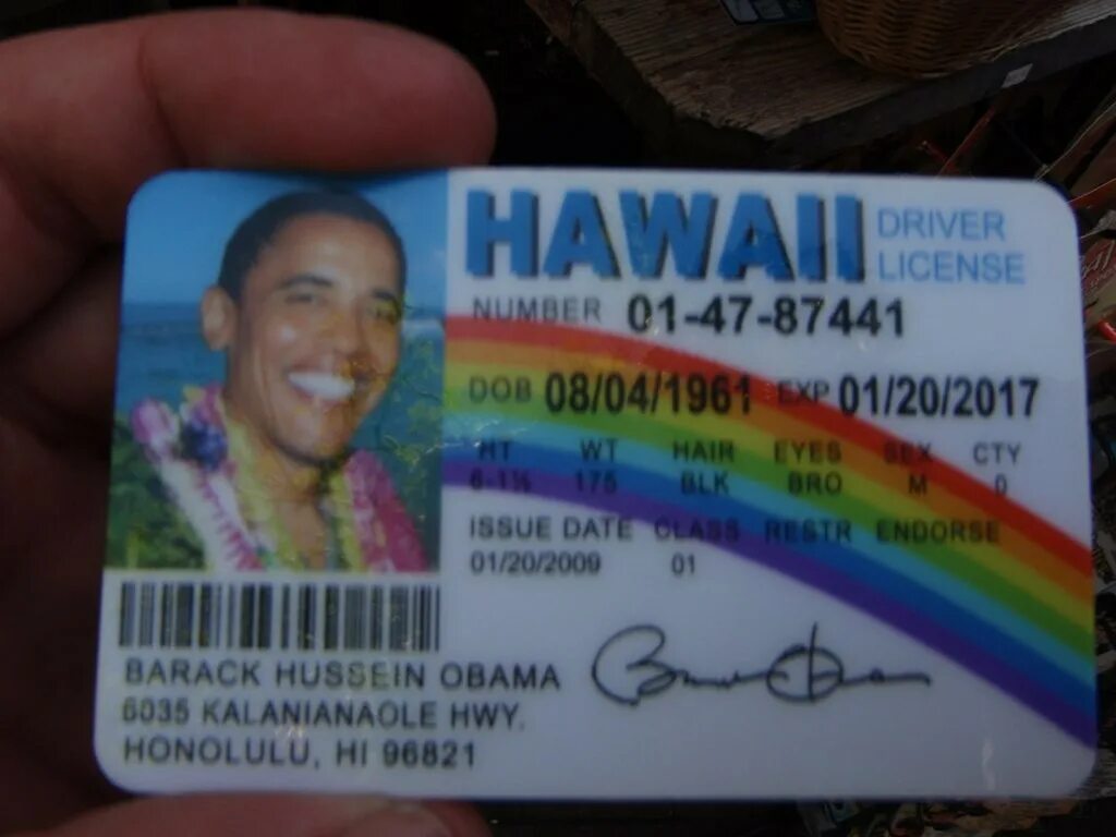 Hawaii driver license. Mclovin driver license. Mclovin driver license. Superbad mclovin. Hawaii driver license mclovin.