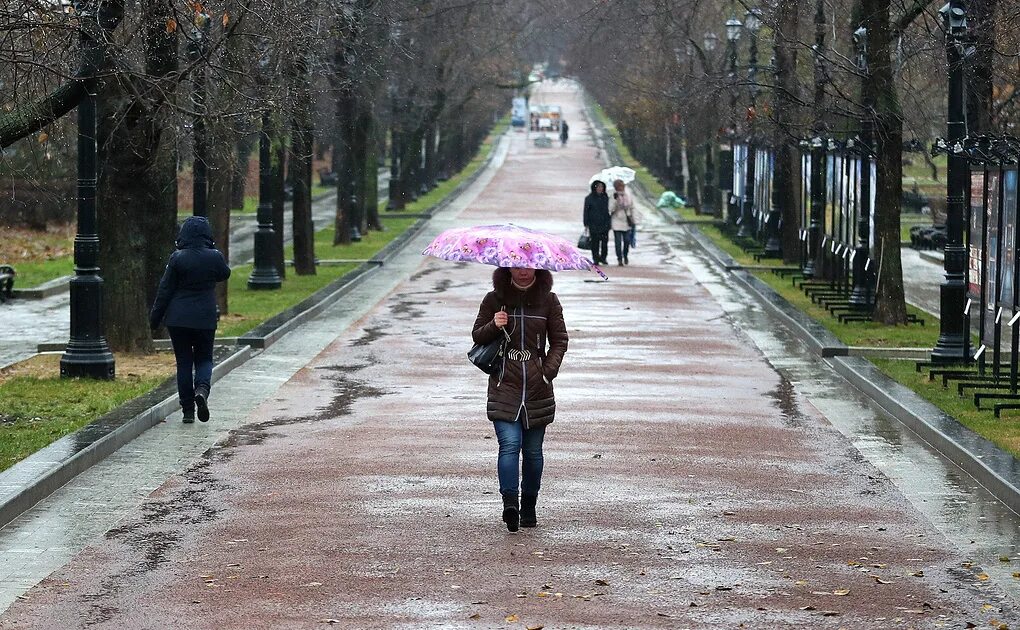 16 Градусов тепла. Дождливая Россия. Тепло в Москве фото. Ближайший дождь. Какое лето ожидается в москве