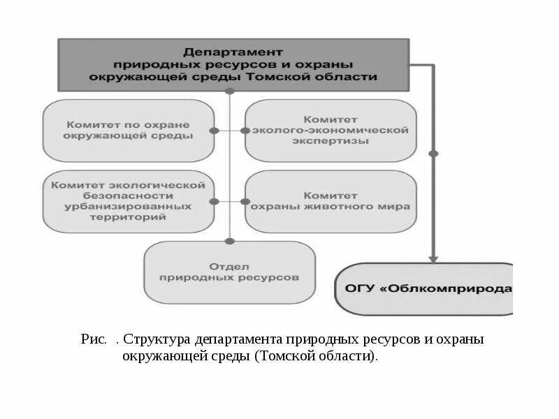 Структура отдела охраны окружающей среды. Структура департамента природных ресурсов. Структура Министерства охраны окружающей среды. Структура управления техносферной безопасностью. Министерство природных ресурсов и экологии структура