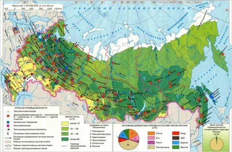 Контурные карты 9 класс химико лесной комплекс