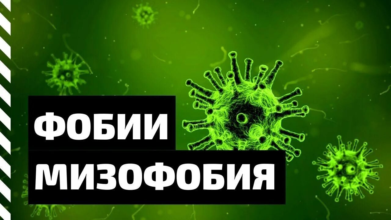 Мизофобия игра. Боязнь микробов и грязи. Гермофобия псисфера. Мизофобия боязнь грязи. Боязнь дырок и отверстий.