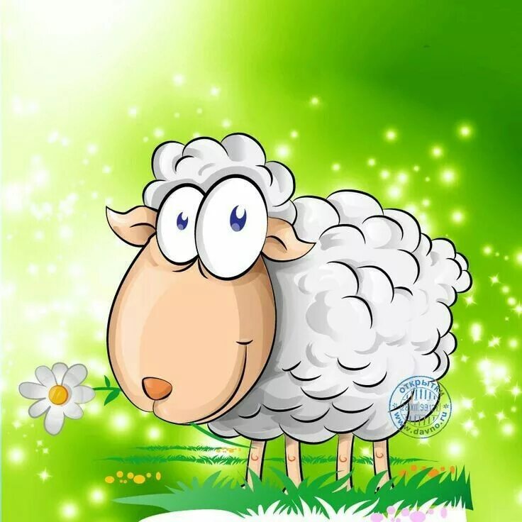 С днем рождения овен. Открытки с овечками с днем рождения. Овечки. С днем рождения баран. Открытка с овцой.