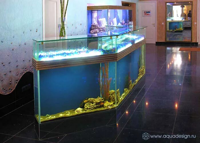 длина аквариума. аквариум 50 л длина ширина высота. длина аквариума имеющего. как вычислить объем аквариума. как вычислить объем аквариума.