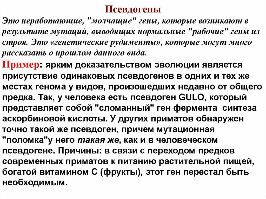 Процессированные псевдогены. Функции псевдогенов. Псевдогены в геноме человека.