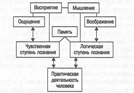 Ощущения память мышление воображение восприятие. Схема познавательных процессов памяти. Память в системе познавательной деятельности таблица. Схема памяти в психологии. Мышление схема.