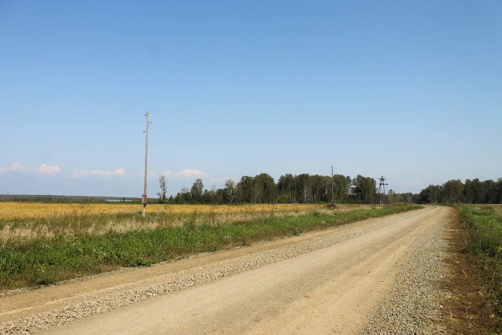 Феночкина Кашкарагаиха. Село Кашкарагаиха Алтайский край. Кашкарагаиха Алтайский край Спутник. Село Кашкарагаиха улица Молодежная 12. Кашкарагаиха алтайский край тальменский