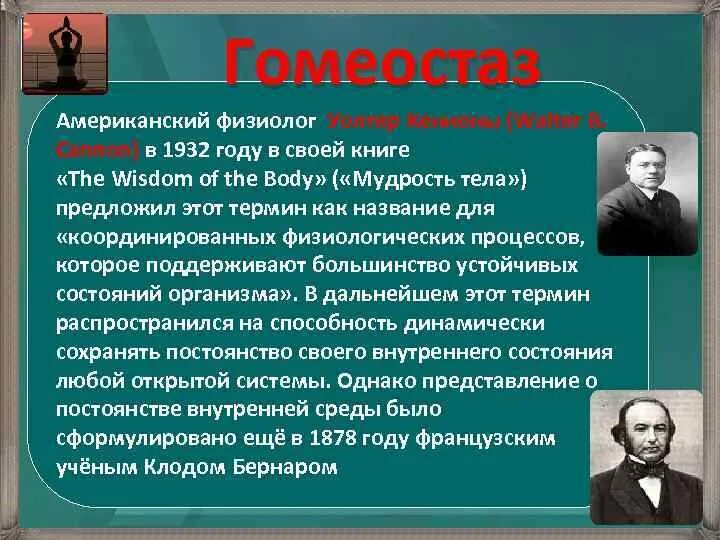 Уолтер Кеннон гомеостаз. Уолтер Брэдфорд Кеннон. Уолтер Кеннон стресс. Мудрость тела Уолтер Кеннон.