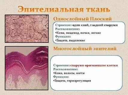 Какая ткань многослойная