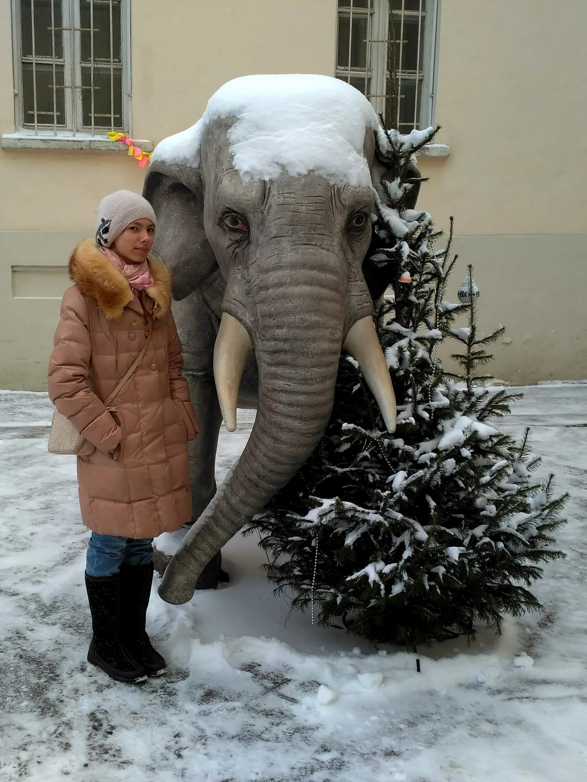 Зимний слоник. Слонёнок зимой. Слон зимой. Зимние слоны. Слоник зимой.