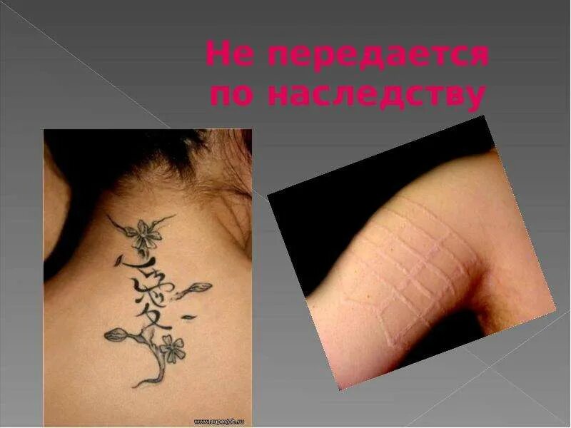 Поведение передается по наследству. Что передается по наследству. онкология передается по наследству. растяжки передаются по наследству. качества не передающиеся по наследству.