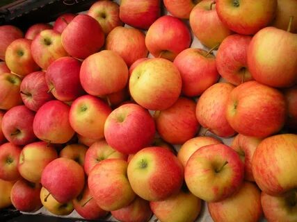 Вкусное яблоня