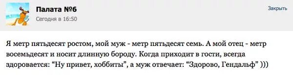 Ошибка в пятидесяти метрах. Привет хоббиты анекдот. Привет хоббиты а муж отвечает. Ну привет хоббиты а муж отвечает здорово Гэндальф. Анекдот папа мы хоббиты.