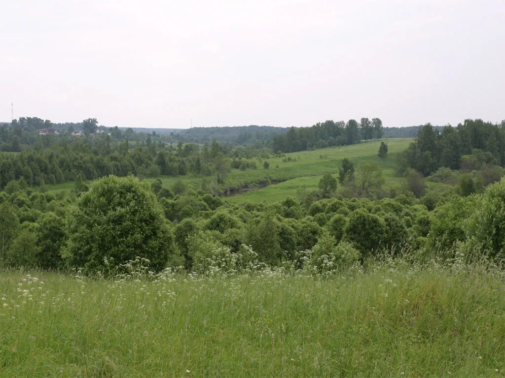 дом в коттеджный посёлок "город-сад" горское шоссе. московская область городской округ истра деревня покровское. застройка участка. марусин луг коттеджный поселок. участок вид сверху.