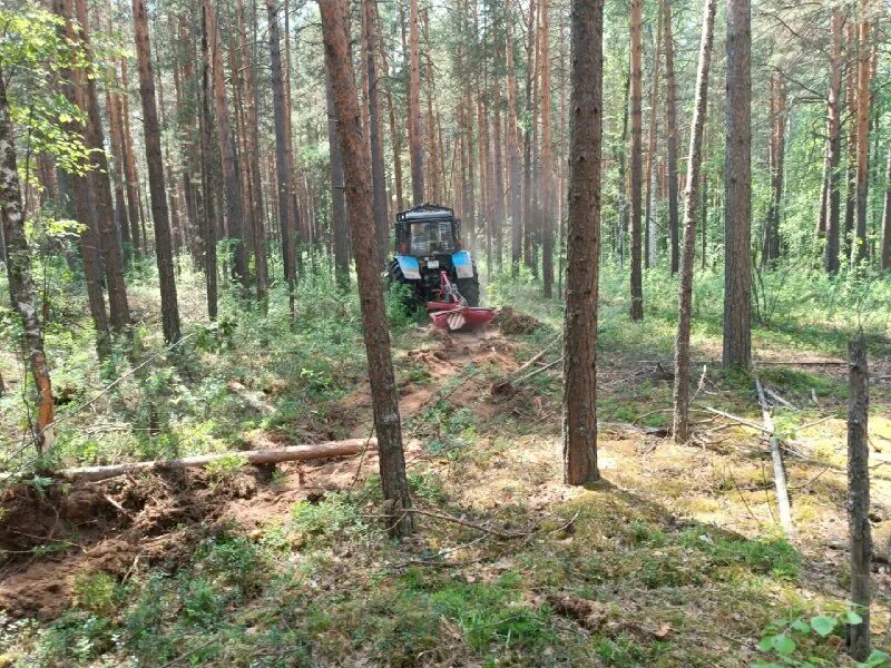департамент рыболовного и охотничьего хозяйства по томской области. департамент охотничьего и рыбного хозяйства томской области. департамент рыболовного и охотничьего хозяйства по томской области. департамент рыболовного и охотничьего хозяйства по томской области.