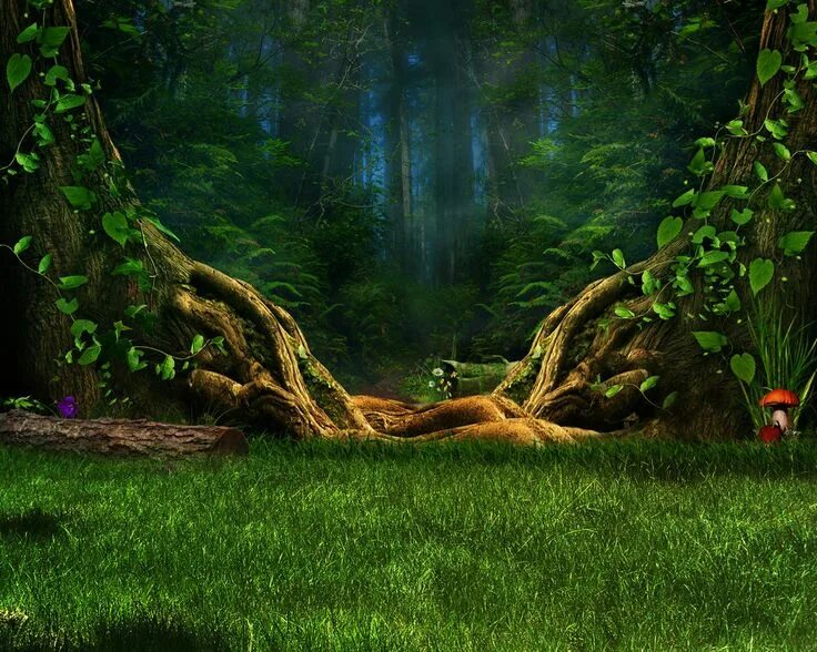 Bosque de las fantasias фото поделки Doors to where Forest wallpaper, Enchanted wood, Enchanted forest