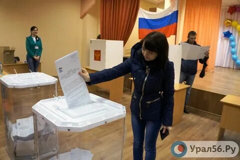 Общество голосование