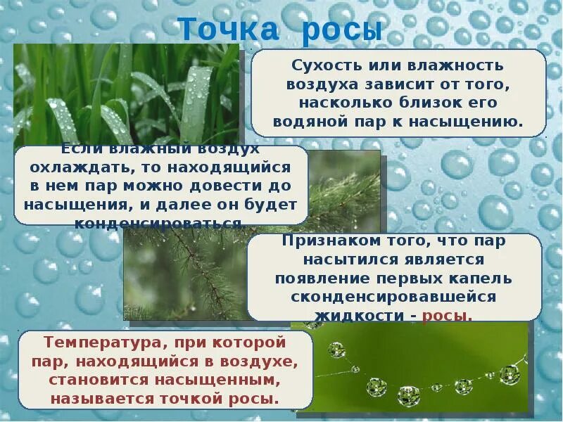 Какое явление происходит при охлаждении насыщенного воздуха. Влажность воздуха. понятие влажности воздуха. влажность зависит от. конденсация воды.