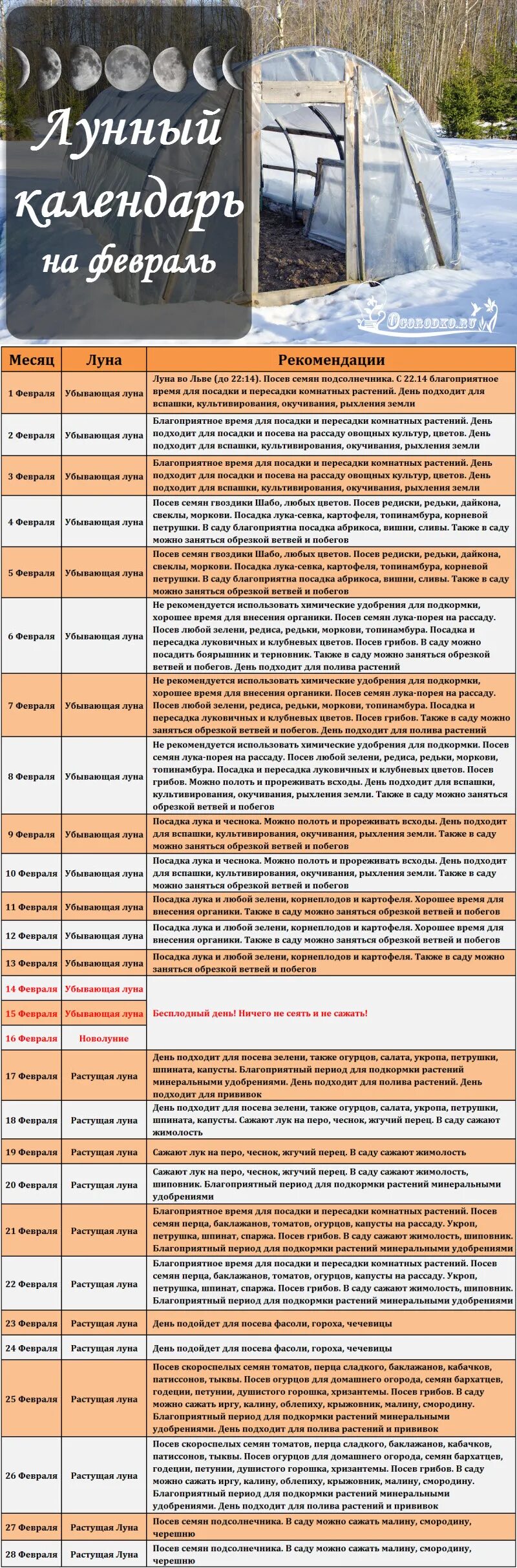 Благоприятные дни для посева сладкого перца. Благоприятные дни для посадки моркови. Дни февраля для посадки семян. Лунный календарь на февраль посевной. Благоприятный день для посева каб.