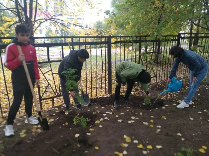 Обязателен ли субботник