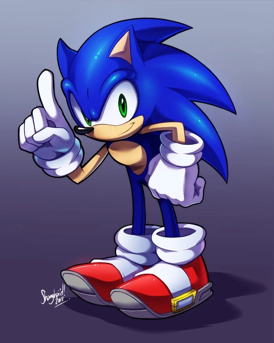 Больше соника. Ежик соник. Ёж соник. Соник соник соник соник соник соник соник. Соник макс.