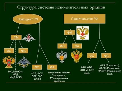 Взаимодействие федеральных органов исполнительной власти