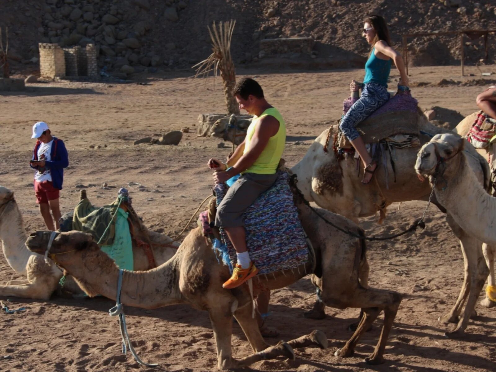 Погода в шарм шейхе в июле. Шармаль Шейх экскурсии. Катание на верблюдах в Дахаб. Катание на верблюдах в Египте Шарм-Эль-Шейх. Гонки на верблюдах в Шарм-Эль-Шейхе.