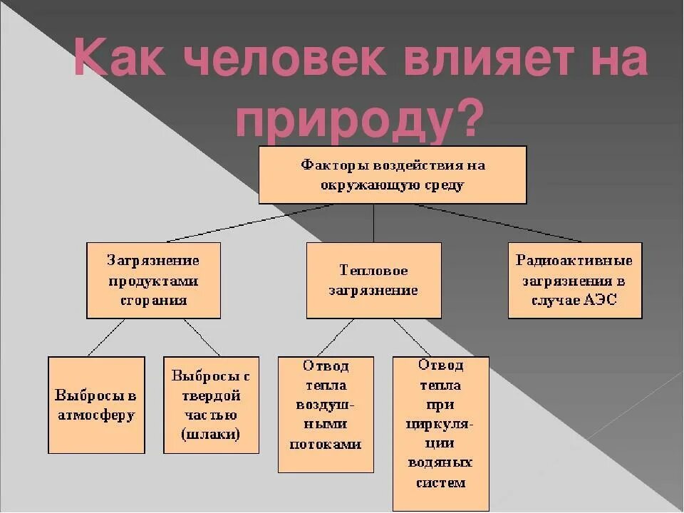 Воздействие природы на общество иллюстрирует