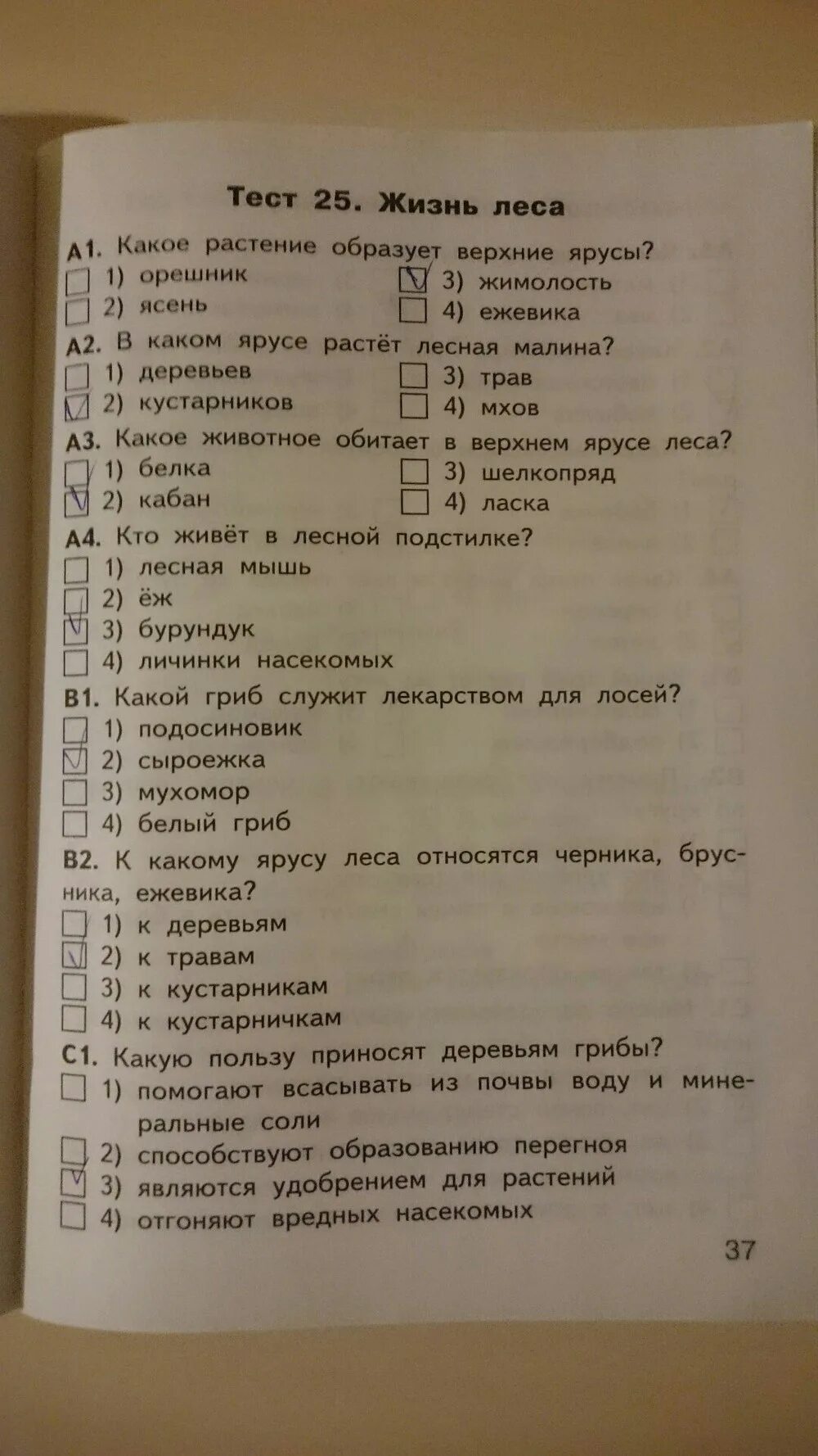 Яценко тест 4 класс окружающий мир. Жизнь леса тест. Тест по окружающему миру 4 класс жизнь леса. Тест по жизни. Тест 4 класс окружающий мир жизнь.