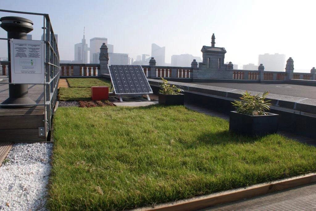 Зеленая эксплуатируемая кровля. Green roof стилобат. Эксплуатируемая плоская кровля green roof. Плоская зеленая кровля. Благоустройство эксплуатируемой кровли.