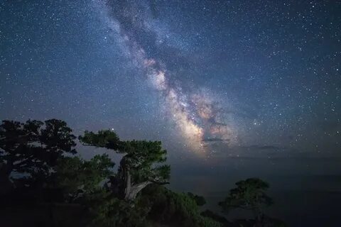 Звезды в крыму