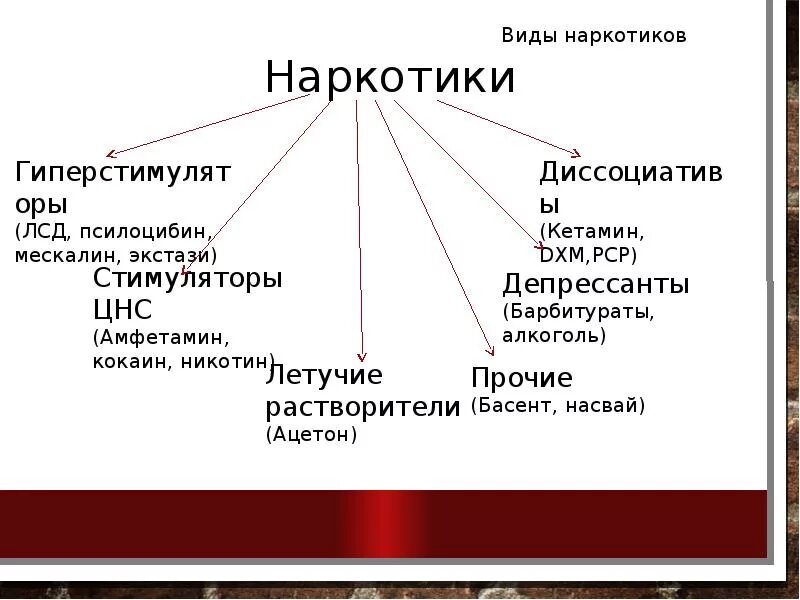 Сколько лет было видов