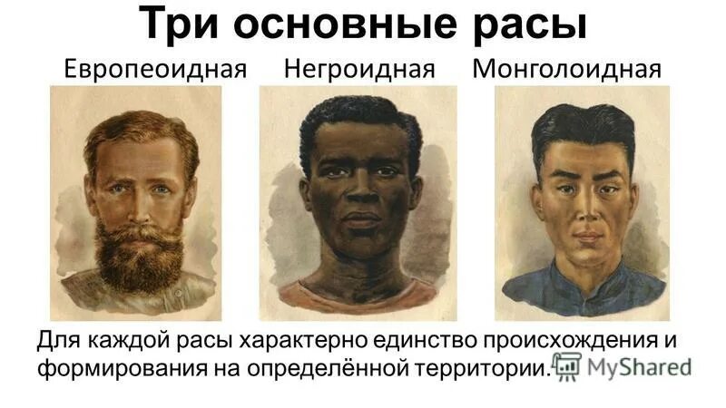 Расой называют людей